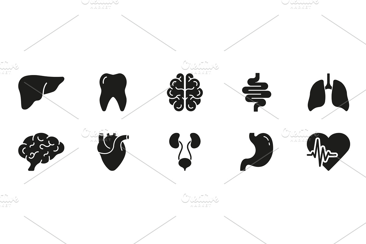 Internal Organ Anatomy Icons, an Object Illustration by Gentle Studio