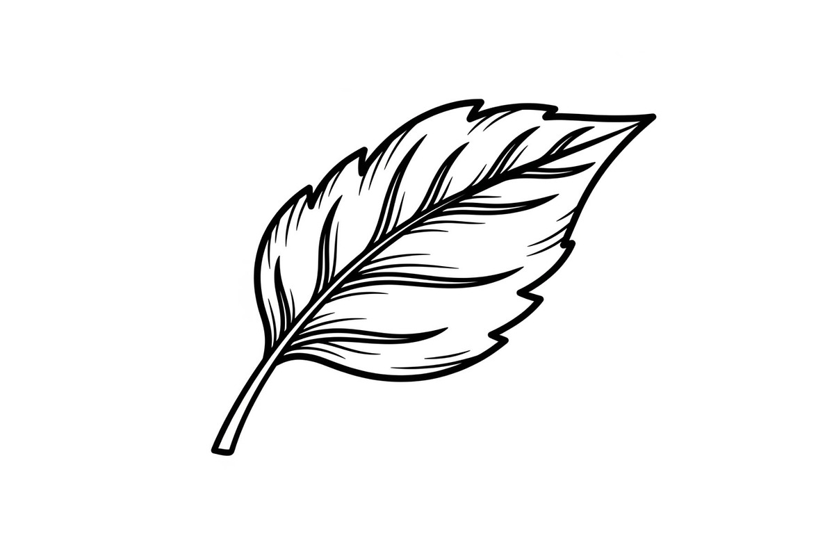 Hand Drawn Leaf Line Art Bundle, an Illustration by hafijul (Photo 38 of 51)