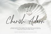 Carlotte Walker Script Business Font, a Handwritten Font by Pixesia Studio (Thumbnail 2 of 10)