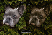 MustaART - Matrice  - XMP Preset, an Action Add-On by MustaART (Thumbnail 3 of 6)