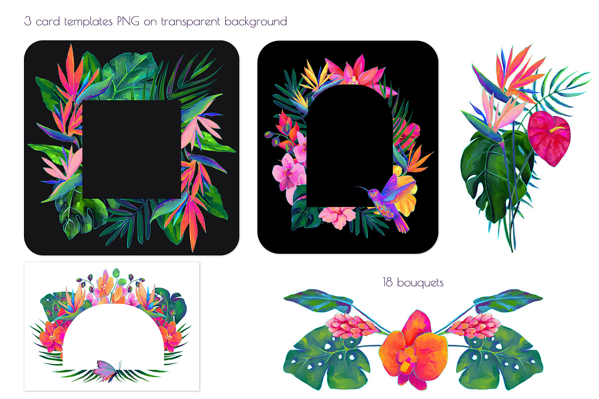 Birds of Paradise graphics/patterns, a Pattern Graphic by Salted Galaxy (Photo 9 of 14)