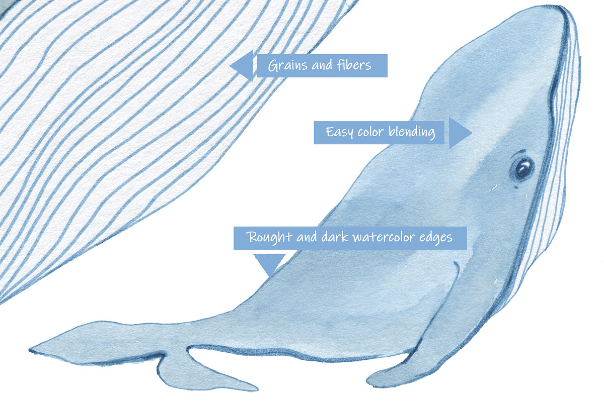 Whale watercolor. Print., an Animal Illustration by Novikova Lida (Photo 3 of 4)
