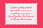 Muslyne Lettavella Handwritten Font, a Script Font by Letterena Studios Script (Thumbnail 19 of 20)