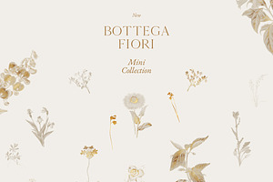 Bottega Fiori - Mini Collection