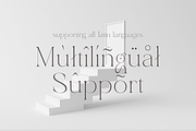 Luxca - Modern Luxury Serif, a Serif Font by Shakira Studio (Thumbnail 13 of 14)
