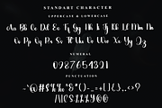 Budge, a Script Font by FreshTypeINK (Thumbnail 2 of 7)