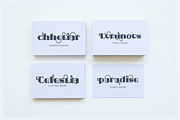 Luminescent Elegance Font, a Sans Serif Font by Erifqizefont (Thumbnail 7 of 21)
