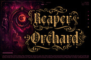 Gothica Sanctora Typeface, a Blackletter Font by alit design (Thumbnail 14 of 18)