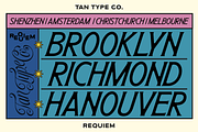TAN - REQUIEM, a Serif Font by TanType (Thumbnail 4 of 11)