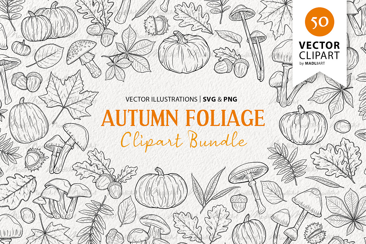 Autumn Fall Foliage Vector Line Art, an Animal Illustration by MadliArt (Photo 1 of 4)