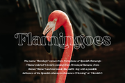 Silk Flower - Modern Serif, a Serif Font by Megi Satyo Widodo (Thumbnail 8 of 26)