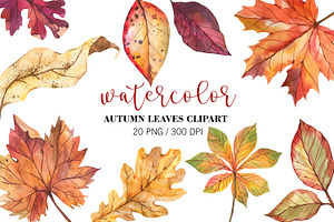 Watercolor Fall Leaves Clipart, PNG