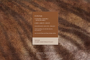 Vestige · Primal Earth Backgrounds, a Background Graphic by alonahaidash (Thumbnail 9 of 16)
