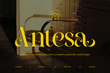 Antesa || Modern Classy Serif Font