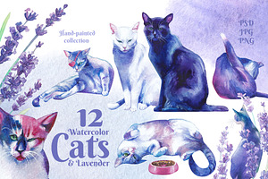 Hand-painted watercolor cats, an Animal Illustration by Ekaterina Glazkova