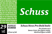 SchussNewsProBoldIta No.29 (1 Font), a Serif Font by typic schuss (Thumbnail 1 of 6)