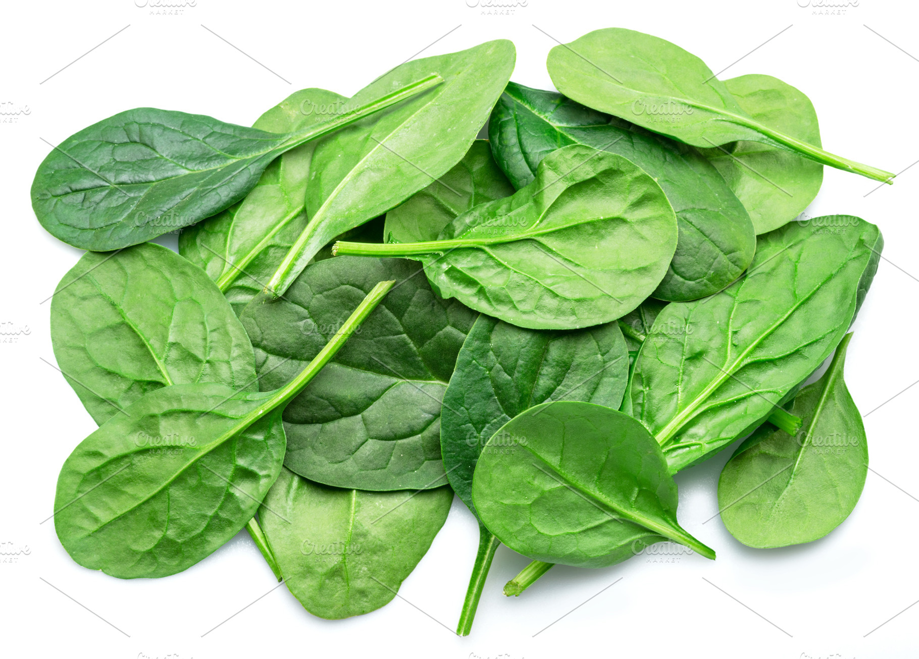 Spinach leaves isolated on white, a Food & Drink Photo by Volff
