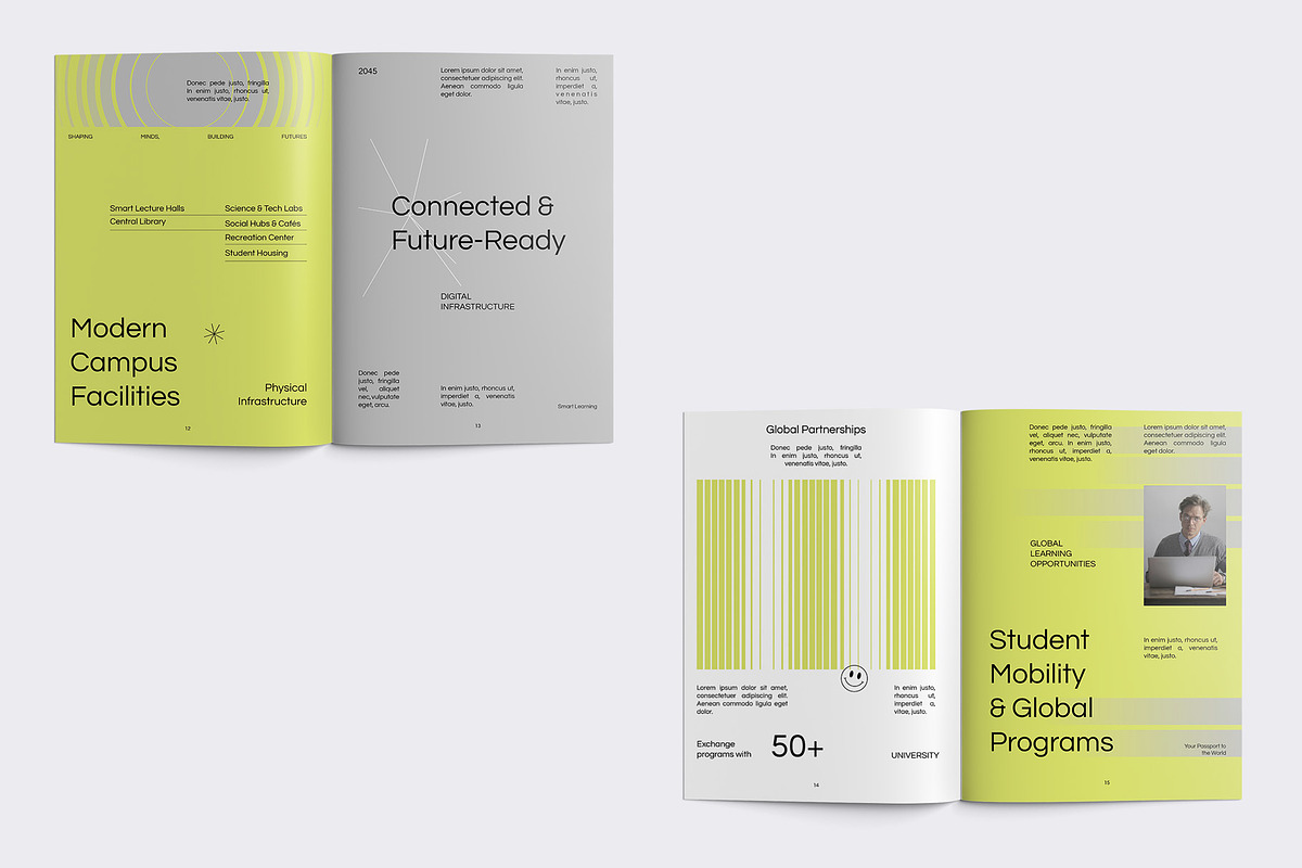 University Profile Brochure preview 6