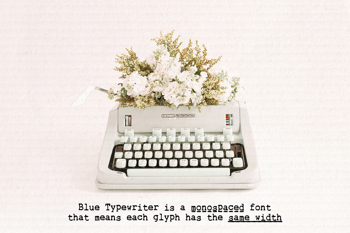 Blue Typewriter SVG font, a Serif Font by Ana's Fonts (Photo 7 of 10)