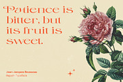 Repath, a Serif Font by Nathatype (Thumbnail 2 of 10)
