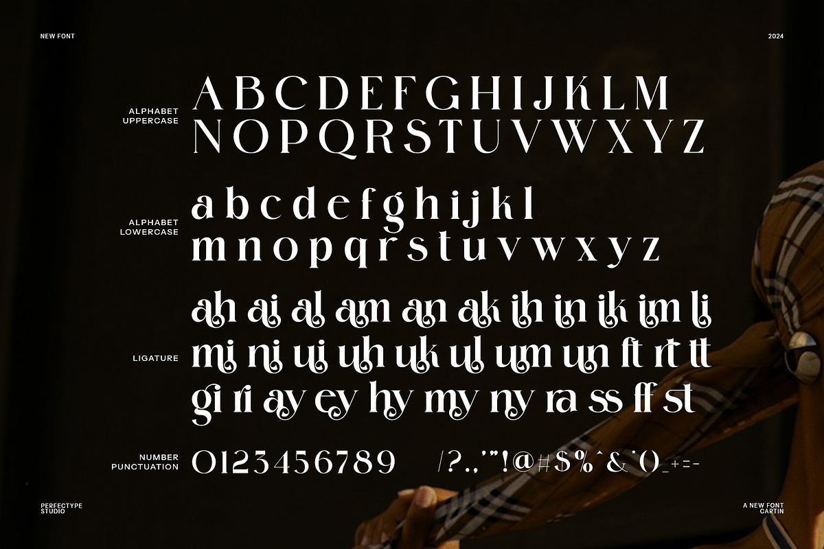 Cartin Elegant Serif Font, a Serif Font by Perfectype (Photo 8 of 8)
