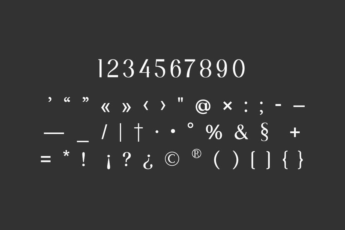 Imperial Glorieux Serif Family Font, a Serif Font by UICreative (Photo 8 of 13)