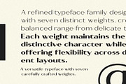 Bavero - Contemporary Sans Family, a Sans Serif Font by Novitype (Thumbnail 12 of 13)