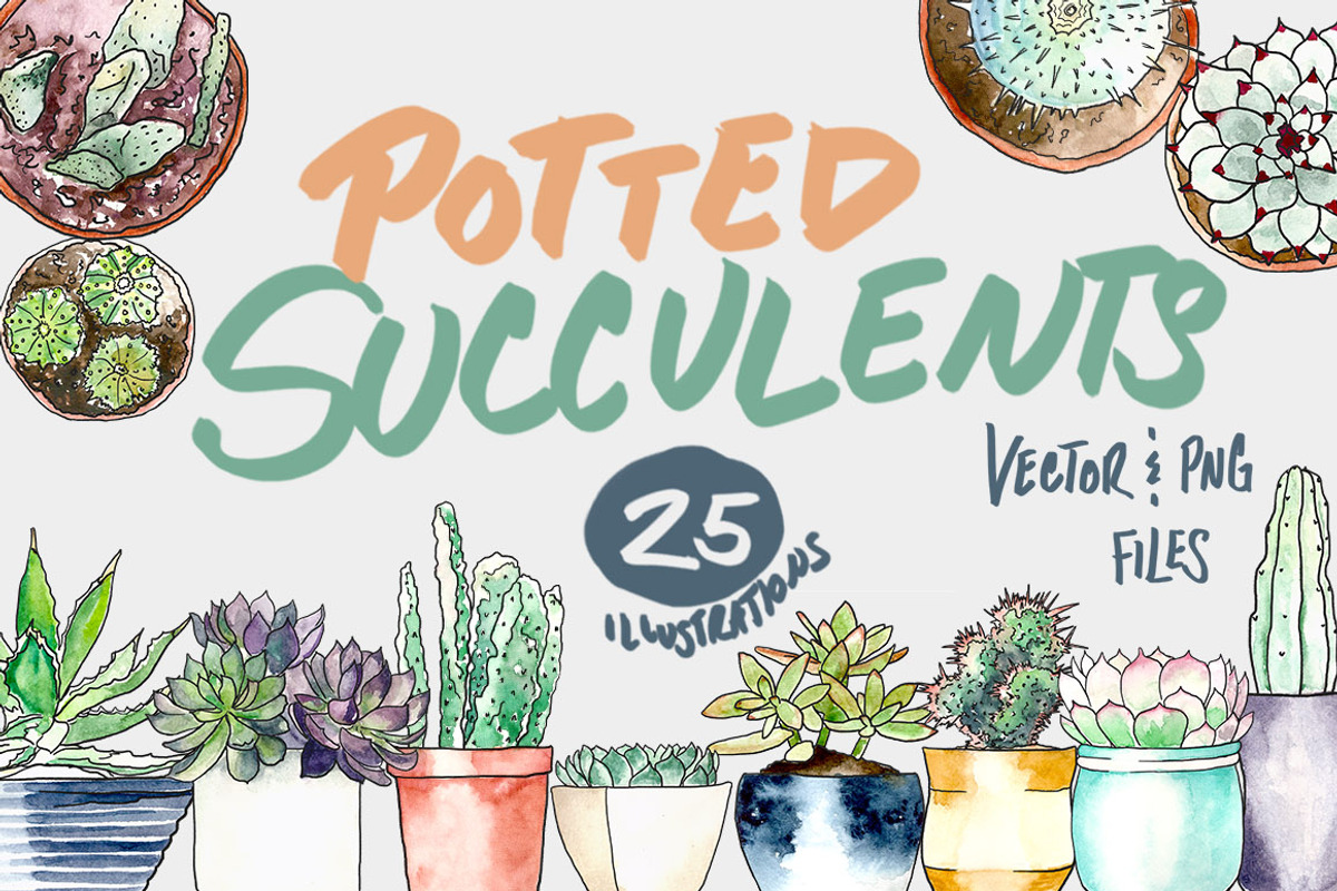 Potted Succulents Illustration Pack, an Illustration by plaidGecko (Photo 1 of 3)