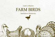 Farm Birds Vector collection, an Animal Illustration by Lubov Illustrations Shop (Thumbnail 1 of 6)