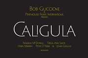 Imperija Roman, a Handwritten Font by LM Type (Thumbnail 7 of 7)