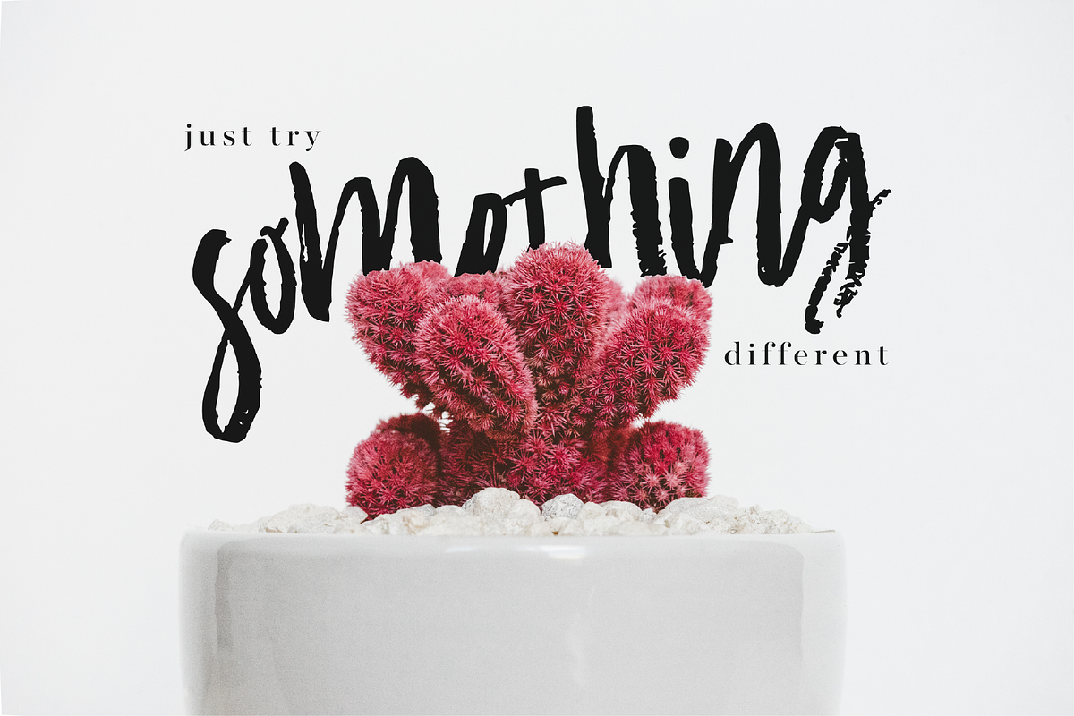 Premium Font Bundle, a Script Font by Flycatcher Design (Photo 46 of 140)