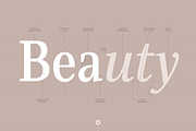 Singel, a Serif Font by Fontfabric (Thumbnail 3 of 5)