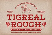 Tigreal Rough, a Slab Serif Font by Craft Supply Co. (Thumbnail 1 of 8)