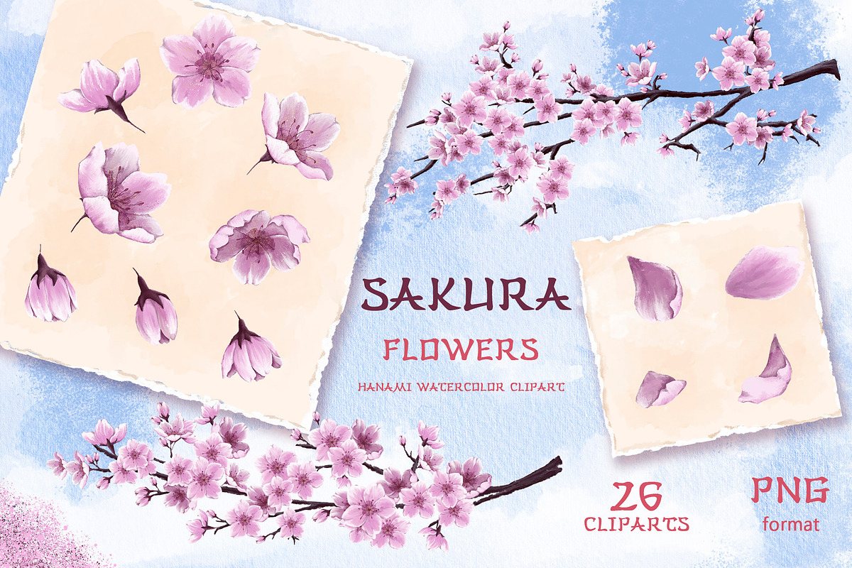 Sakura and Cat. Hanami watercolor, an Illustration by Maycat_store (Photo 8 of 11)