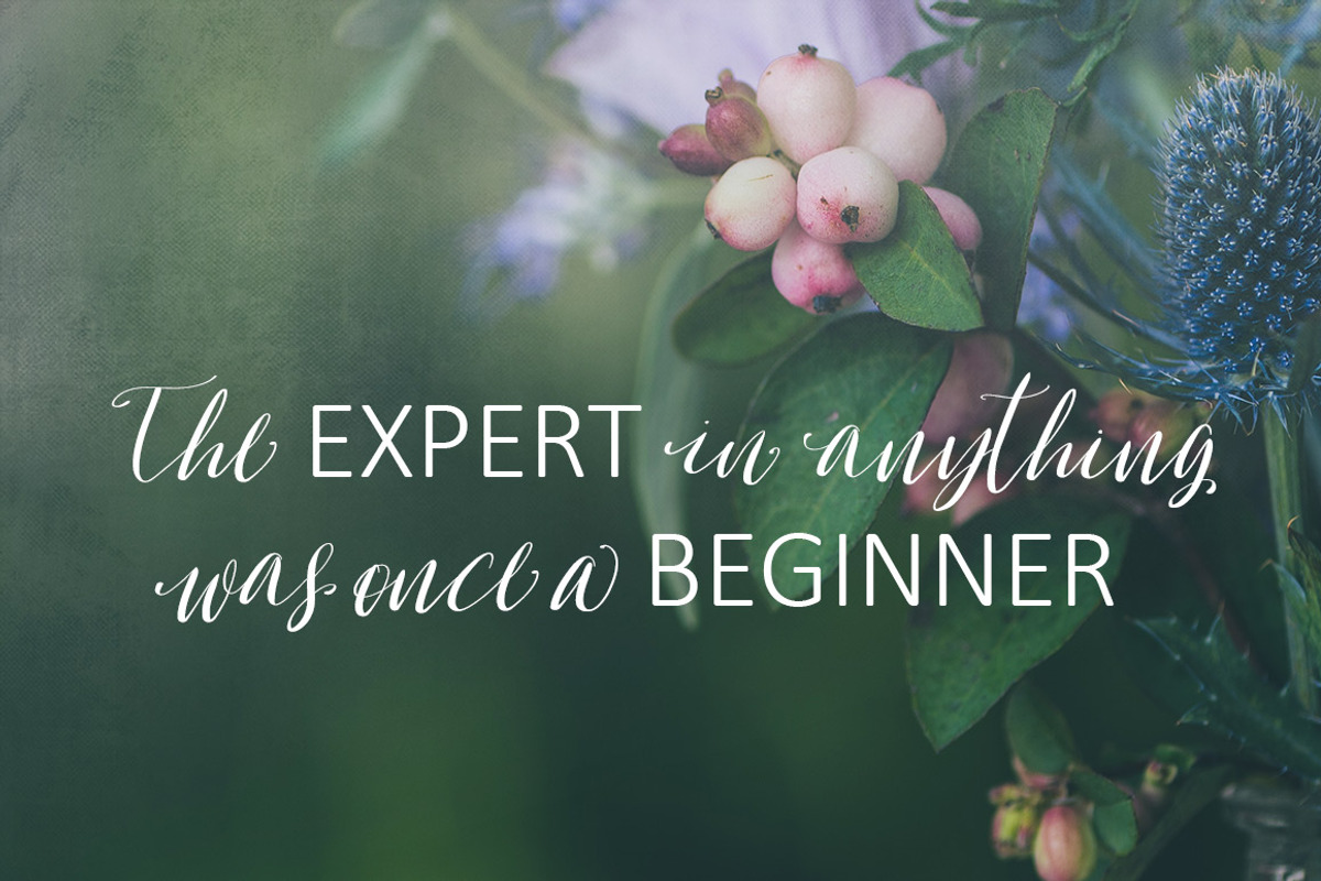 Oh Surrender Script Font preview 5