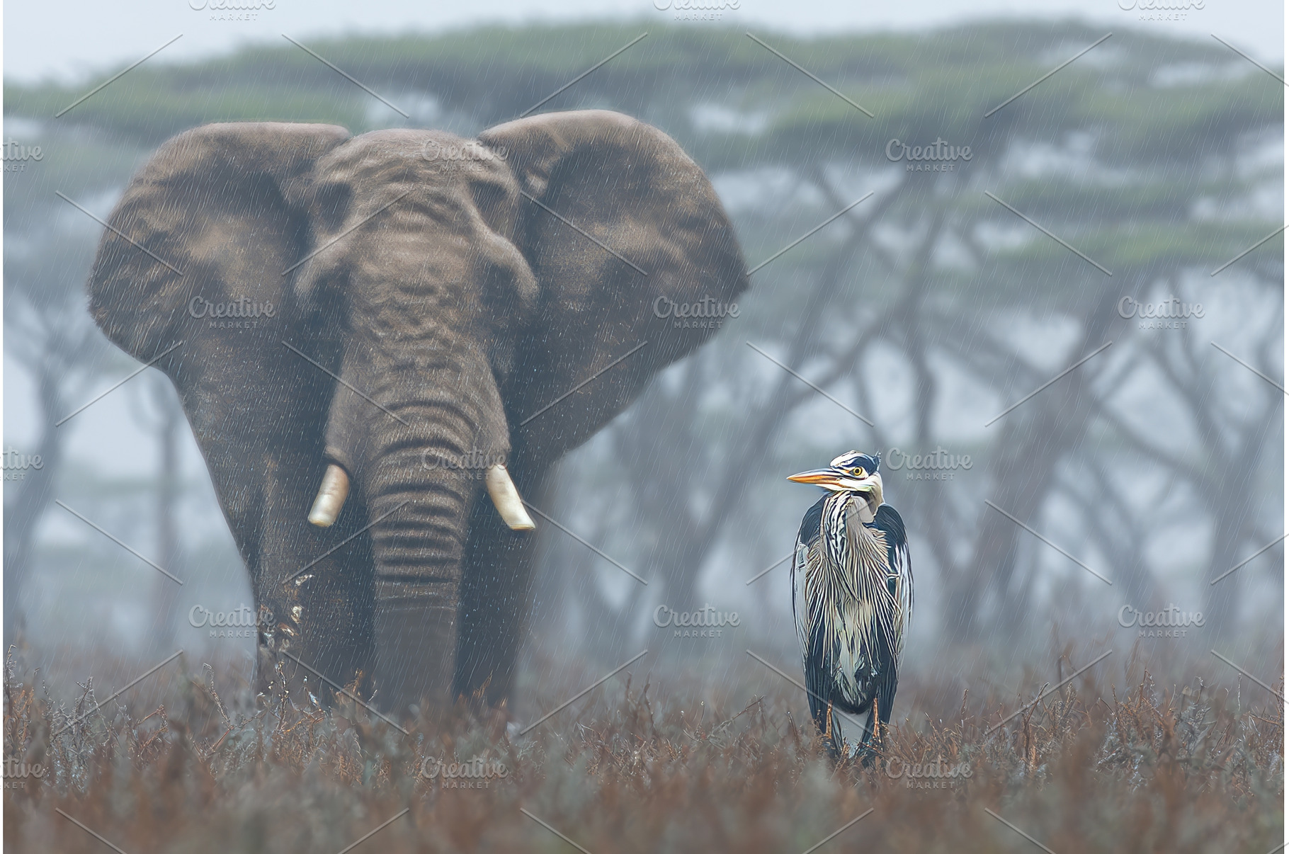 Serengeti National Park, located in, an Animal Photo by ZinetroN