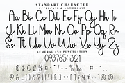 Vanilla, a Handwritten Font by FreshTypeINK (Thumbnail 4 of 8)