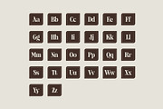Laderhaus - Display Font, a Serif Font by Studio Moara (Thumbnail 2 of 11)