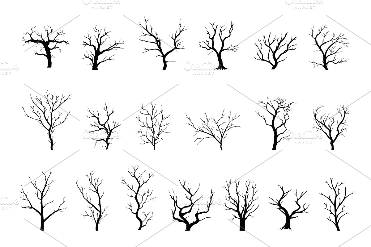 Bare trees black silhouettes, an Illustration by LadadikArt