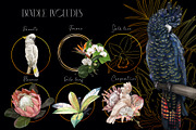 Tropical life. 100+ Parrot & flower, an Illustration by NNclipart (Thumbnail 2 of 14)