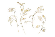 Lunaria branches, an Illustration by Watercolor life (Thumbnail 2 of 7)