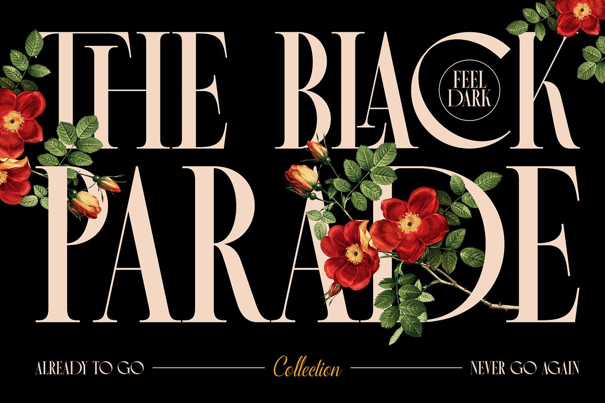 Arose - Elegant Serif Typeface, a Serif Font by MaikoHatta (Photo 3 of 8)