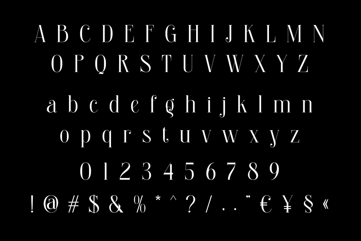 Bralgine A Modern Ligature Serif, a Serif Font by Alfinart (Photo 6 of 10)
