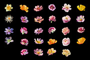 100 Floral Watercolor Illustrations, an Object Graphic by Nocturnal Wolf (Thumbnail 8 of 13)