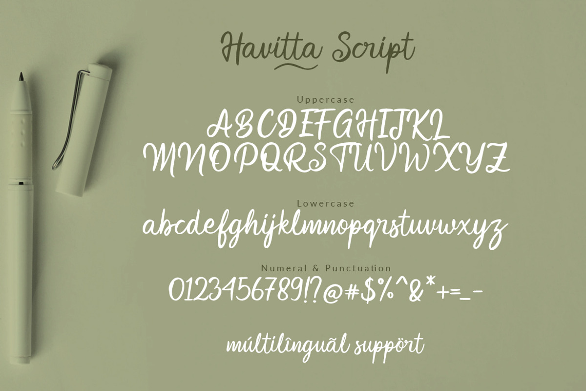 Havitta - Handwritten Script preview 7