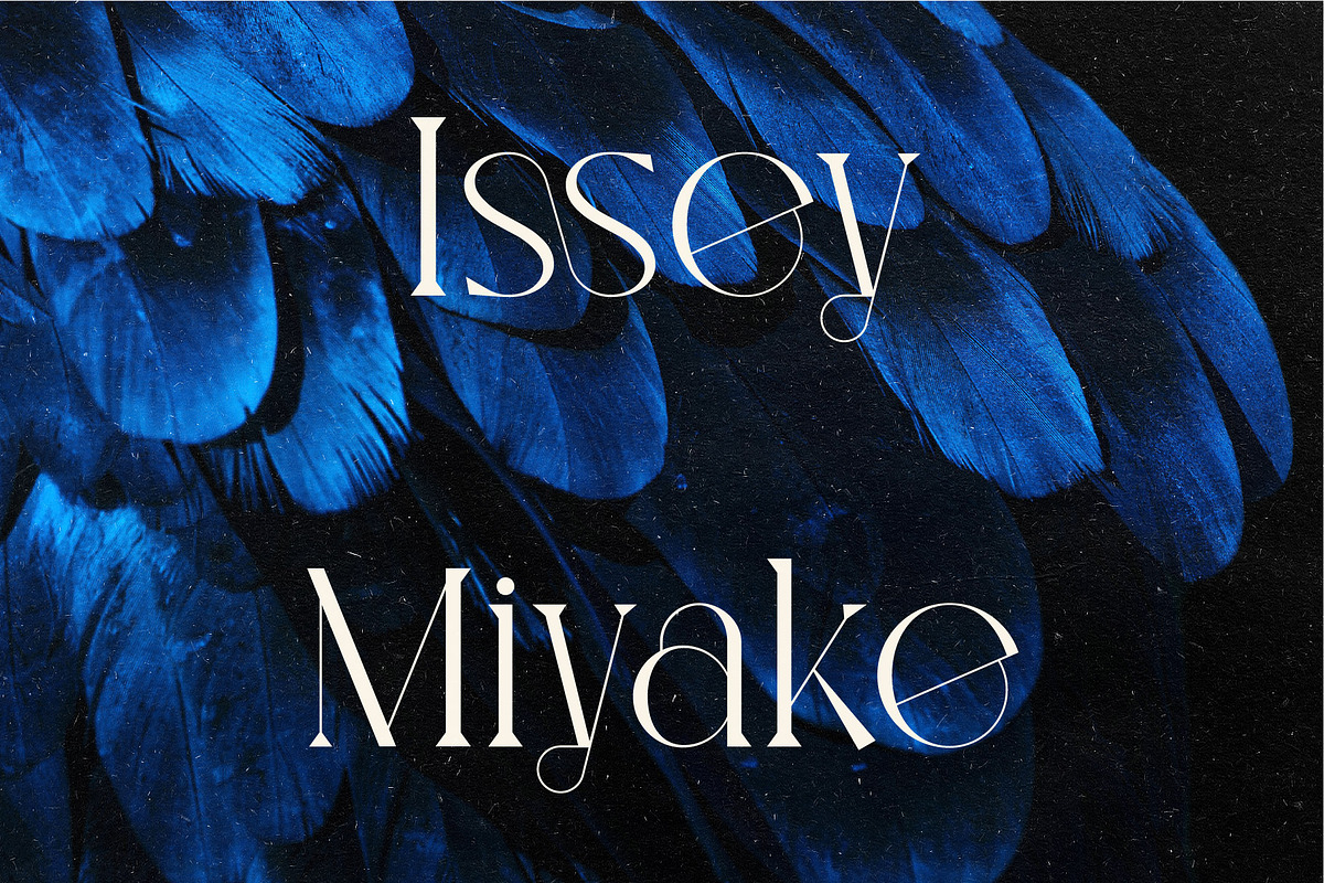 Legion - Ligature Display Serif Font preview 3