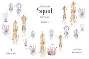 Watercolor Squid Life Cycle Set, an Education Illustration by MayaNavits (Thumbnail 3 of 8)