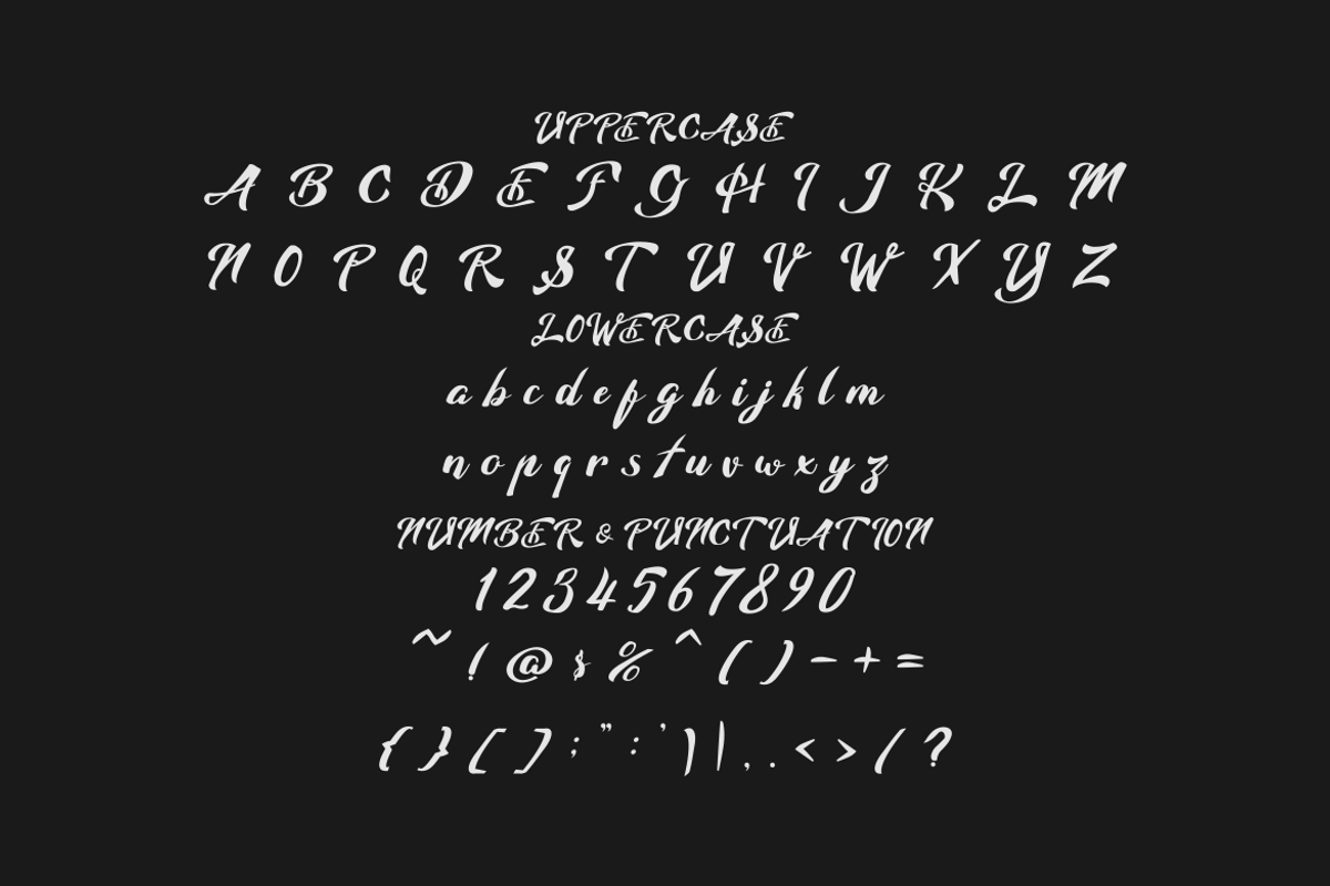 Quintia Modern Brush Script Font, a Script Font by PutraCetol Studio (Photo 5 of 5)