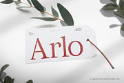 CS Quella – Contemporary Font, a Serif Font by Craft Supply Co. (Thumbnail 5 of 8)