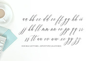 Feelsmooth Script, a Script Font by Solidtype (Thumbnail 13 of 14)